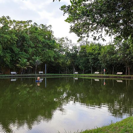 Park Das Aguas Três Lagoas 외부 사진